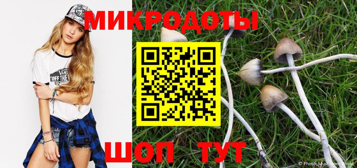 Галлюциногенные грибы Cubensis  Галлюциногенные грибы мухоморы  Ступино  Вход с VPN 